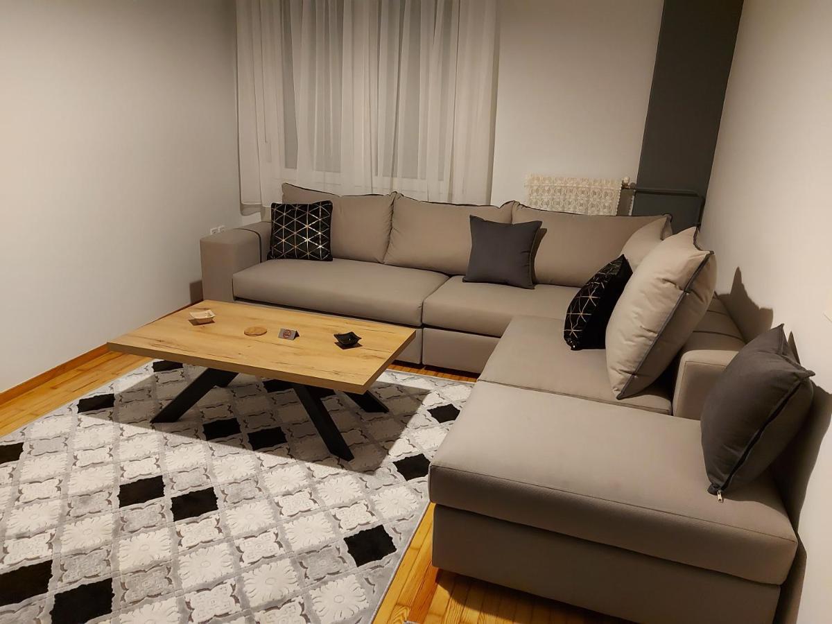 Vasilikis Luxury Loft Apartment Ioannina Exterior photo