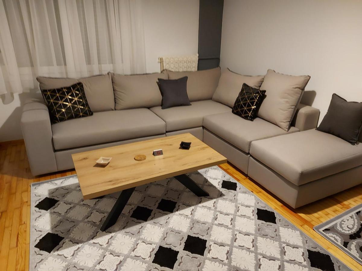 Vasilikis Luxury Loft Apartment Ioannina Exterior photo